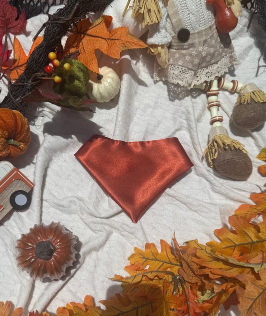 pumpkin satin