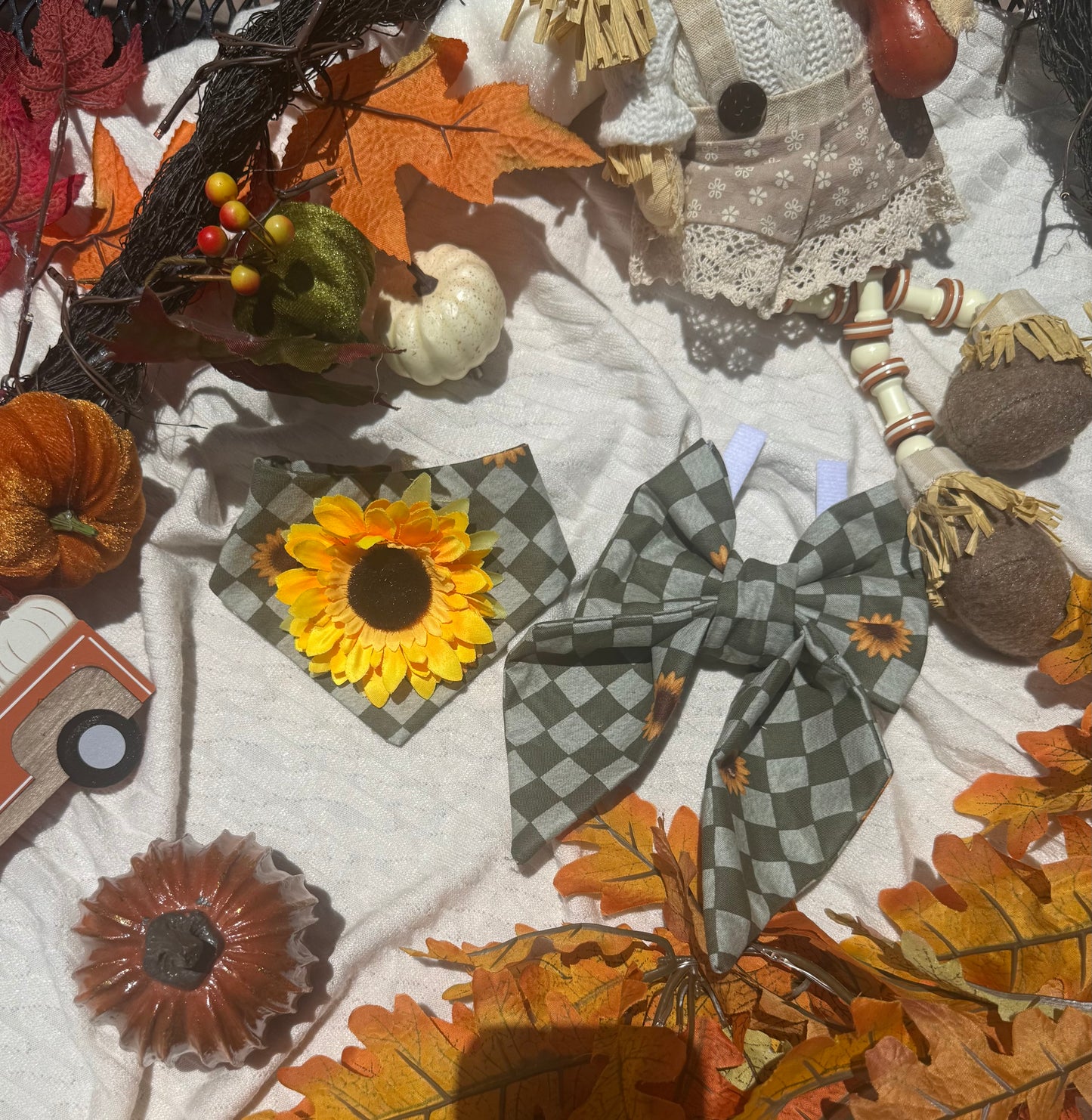 Autumn sunflower