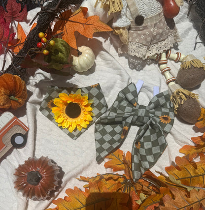 Autumn sunflower