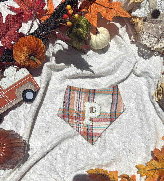 pumpkin patch