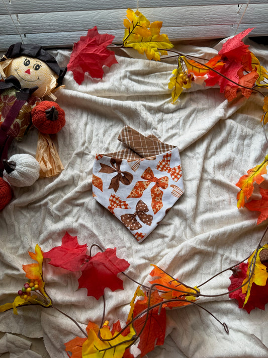 fall bow