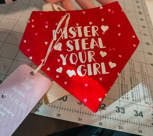 Mister steal your girl