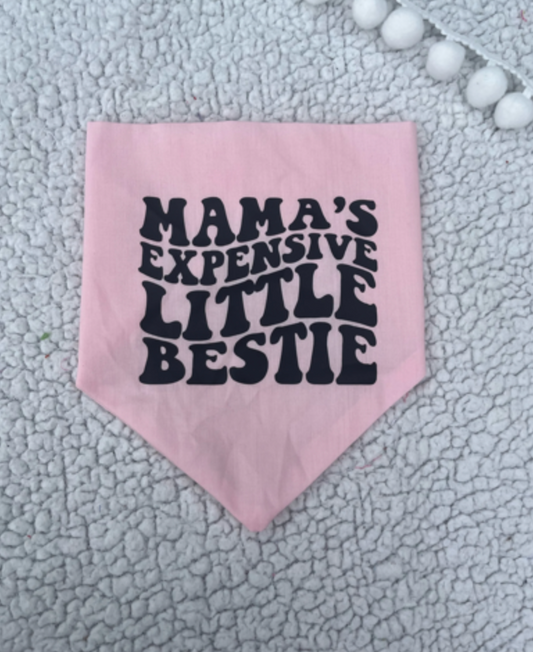 Mamas expensive little bestie
